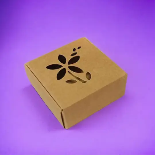 Kraft Boxes With Die-Cut 