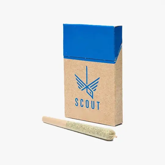Pre-Rolled Joint Boxes 