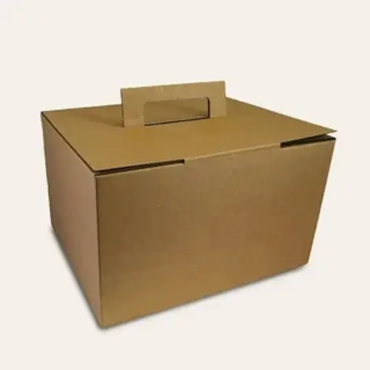 Cardboard Boxes With Handles 