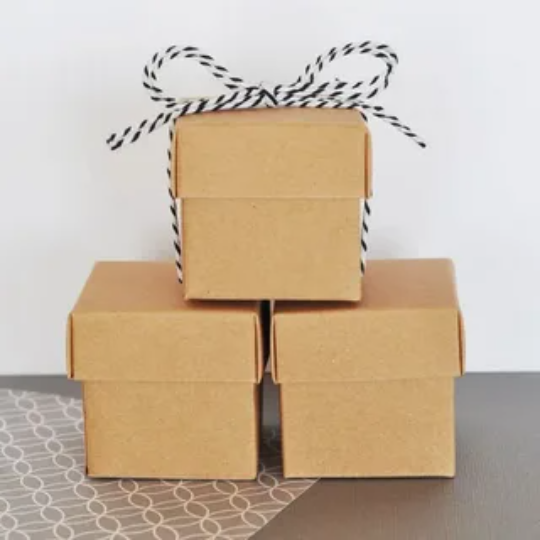 Kraft Favor Boxes 