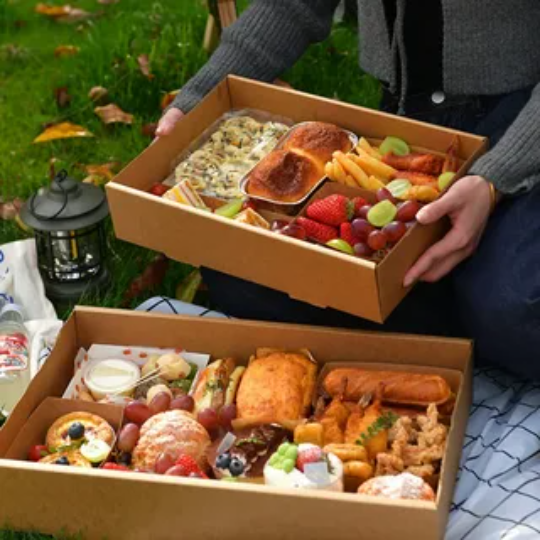 Kraft Picnic Boxes 