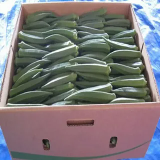 Okra Packaging 