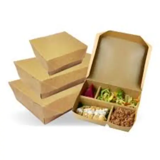 Paper Lunch Box 