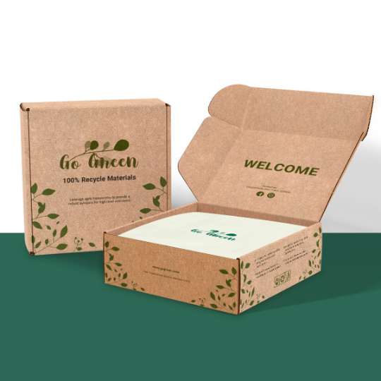 Sustainable Packaging Box